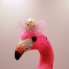 Kopf des Flamingo aus Federn mit Krone